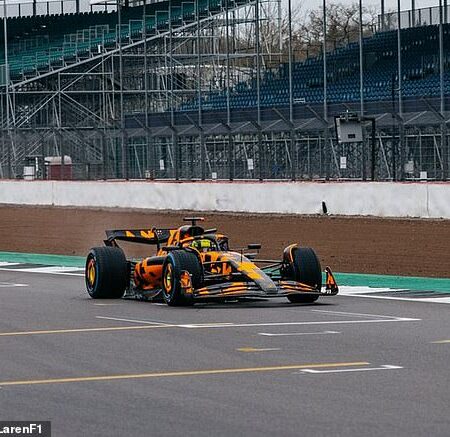 McLaren представляет первый болид Формулы-1 сезона 2025 года