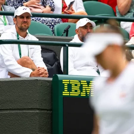 Елена Рыбакина критикует решение WTA и отмечает недостаток поддержки в теннисном сообществе