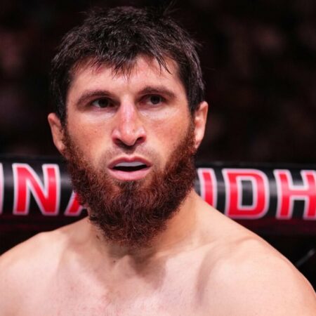Магомед Анкалаев подвергся критике после предложения комментатора UFC об обмене бойцами с PFL