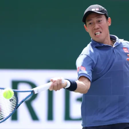 Турнир ATP в Хьюстоне: Маннарино и Нишикори выходят во второй круг