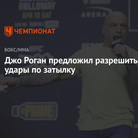 Джо Роган вызвал негодование, предложив легализовать невероятно опасный удар в MMA