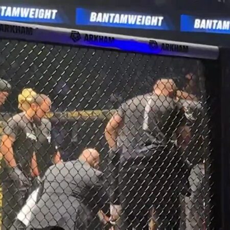 Хабиб Нурмагомедов передал послание Энтони Петтису через его брата Серхио после сенсационного нокаута