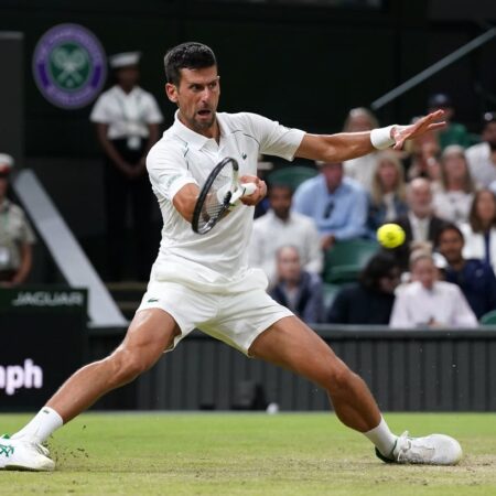 Новак Джокович: Центральный корт Уимблдона по-прежнему вызывает «мурашки»