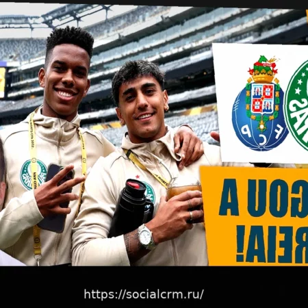 Палмейрас запланировал товарищеские матчи в Португалии во время перерыва на Чемпионат мира