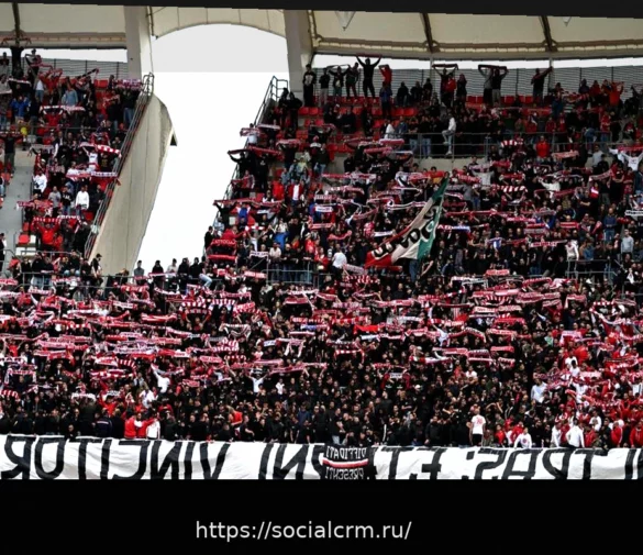 Фрозиноне-Бари: Завершение Продажи Билетов для Гостевого Сектора