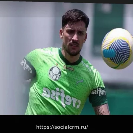 Фламенго ведет переговоры о собственном эксклюзивном самолете для оптимизации перелетов, сообщает Бап