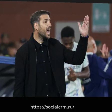 Фабрегас: «Продолжаем работать, чтобы вывести Комо как можно выше»